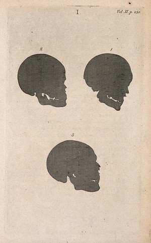 view Human skulls in silhouette: four figures. Line engraving, 1780/1800?.