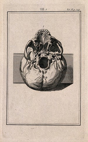 view Human skull, seen from below. Line engraving, 1780/1800?.