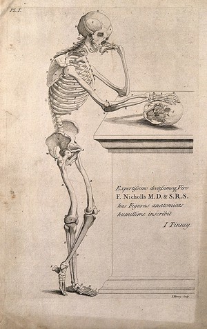 view A skeleton leaning on a spade. Line engraving by J. Tinney, after A. Vesalius, 1743.