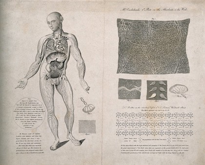 Vessels and glands of the lymphatic system: seven figures, including a dissected male figure seen from the front, details of the lymphatic system and a table of symbols. Line and stipple engraving after W. Cruikshank and M. Baillie, 1810/1820.