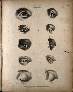The human eye: ten figures, showing the eye open and closed. Engraving by T. Milton, 1809.