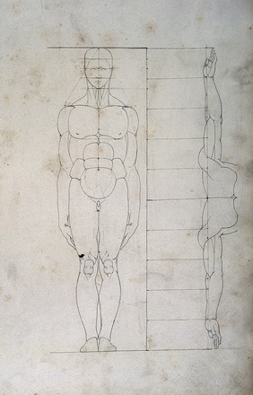 Human proportions: two figures. Drawing, 18--.