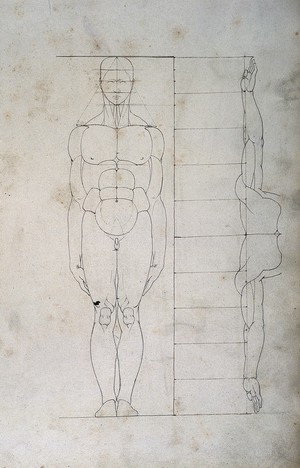 view Human proportions: two figures. Drawing, 18--.