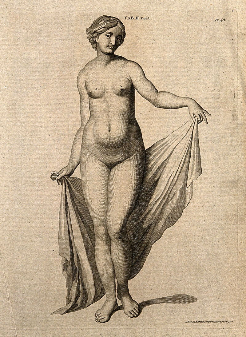 Superficial anatomy of the woman: anterior view. Engraving by A. Bell after G. Bidloo, 1798., [1798], by Govert Bidloo