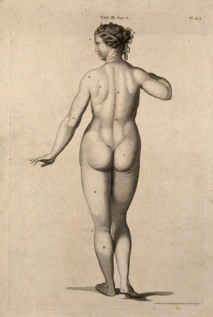 view Superficial anatomy of the woman: posterior view. Engraving by A. Bell after G. Bidloo, 1798.