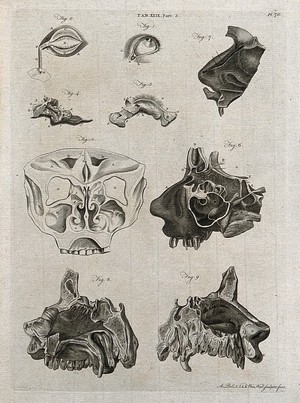 view The eye, the tear duct, and the nose: nine figures. Line engraving by A. Bell after G.B. Morgagni, A. Monro and J. (?) Hunter, 1798.