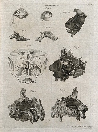 The eye, the tear duct, and the nose: nine figures. Line engraving by A. Bell after G.B. Morgagni, A. Monro and J. (?) Hunter, 1798.