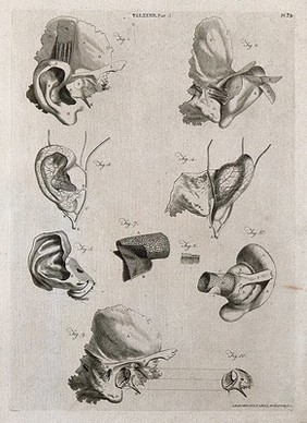 Parts of the ear: ten figures. Line engraving by A. Bell after J. G. (?) Duverney, 1798.