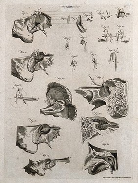 Parts of the ear: twenty-one figures. Line engraving by A. Bell after J. G. (?) Duverney, 1798.