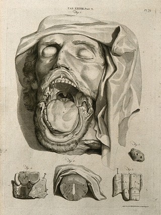The head of a dead man with the mouth open showing interior, with details of tonsil and other parts of mouth and throat. Line engraving by A. Bell after G. Bidloo and W. Cowper, 1798.