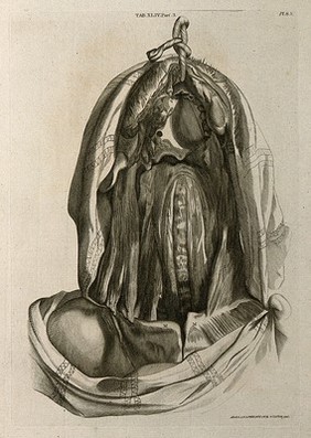 Muscles of the head and neck. Line engraving by A. Bell after G. Bidloo, 1798.