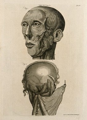 Muscles of the head: two figures. Line engraving by A. Bell after W. Cowper, 1798.