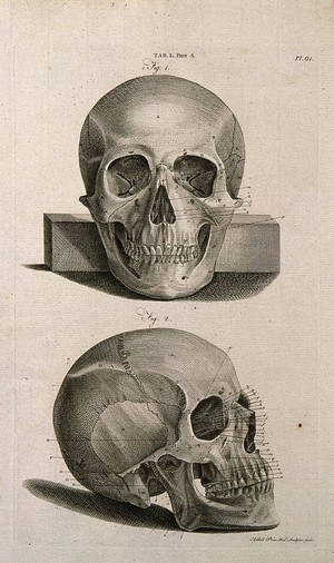 view The skull: anterior view (above) and lateral view (below). Line engraving by A. Bell after J.-J. Sue, 1798.