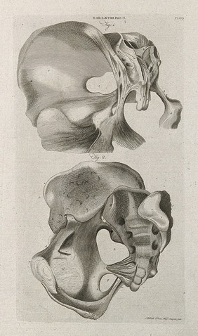 Ligaments attached to the pelvis and sacrum: two views. Line engraving by A. Bell after J. Weitbrecht, 1798.