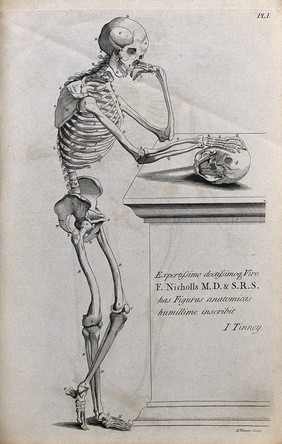 A skeleton leaning on an inscribed tombstone, resting his right hand on a skull. Line engraving by J. Tinney, 1743, after A. Vesalius, 1543.