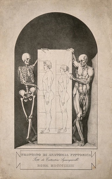 Skeleton and écorché figure holding placard featuring male and female figures: half-title page to 'Trattato di anatomia pittorica'. Lithograph after C. Squanquerillo, 1839.
