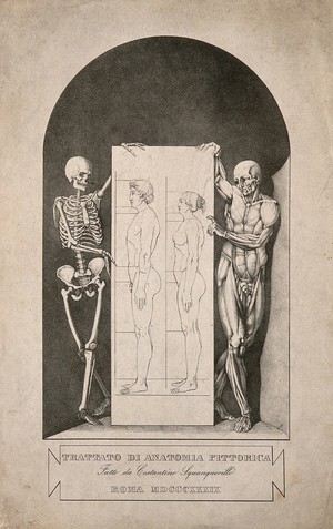 view Skeleton and écorché figure holding placard featuring male and female figures: half-title page to 'Trattato di anatomia pittorica'. Lithograph after C. Squanquerillo, 1839.