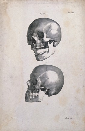 Human skull: two figures. Lithograph by Rosi after C. Squanquerillo, 1836.