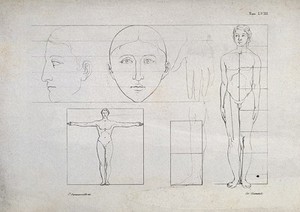 view Proportions of the human body: six figures showing the face, hand, leg and entire body, with proportions marked. Lithograph by Battistelli after C. Squanquerillo, ca. 1840.