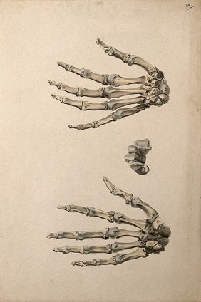 Bones of the hand: three figures. Ink and watercolour, 1830/1835?, after W. Cheselden, ca. 1733.