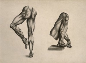 view Écorché legs: two figures. Pencil and ink wash drawing, after an unidentified work on anatomy, ca. 1830(?).