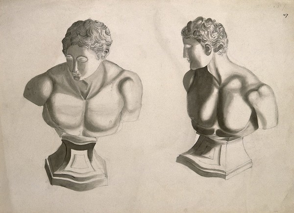 Male bust on a plinth: two figures. Pencil and ink wash drawing, after an unidentified work on anatomy, ca. 1830(?).