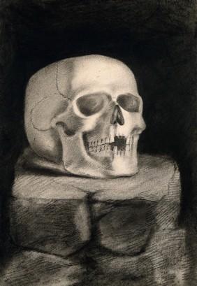 Skull, resting on a block of stone. Black chalk drawing, 18--(?).