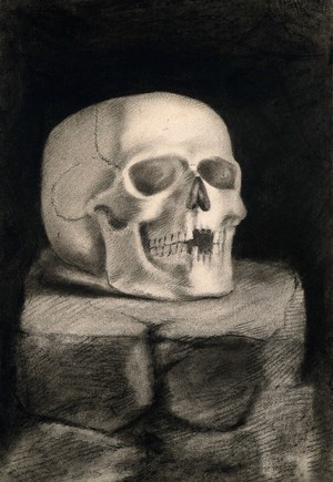 view Skull, resting on a block of stone. Black chalk drawing, 18--(?).