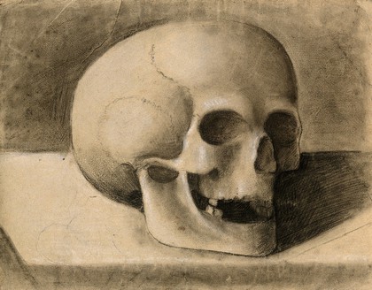 Skull. Chalk drawing, 18--(?).