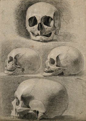 Skulls: four figures. Pencil and chalk drawing by C. Landseer (?), or a contemporary, ca. 1815.