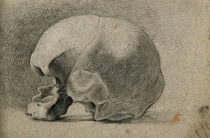 view Skull. Pencil and chalk drawing by C. Landseer(?), or a contemporary, ca. 1815.