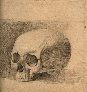 view Skull. Pencil drawing by C. Landseer(?), or a contemporary, ca. 1815.