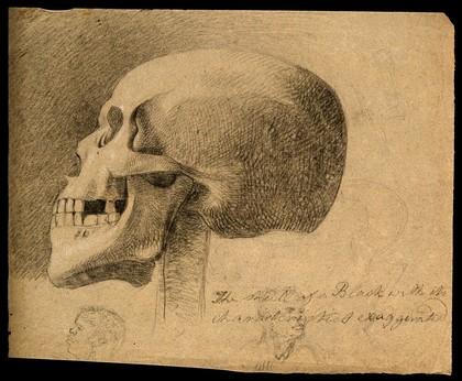 The skull of a black man, with two smaller sketches of heads of black people. Pencil drawing by C. Landseer (?), or a contemporary, ca. 1815.