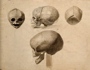 view Skulls: four figures. Pen and ink wash drawing by C. Landseer(?), or a contemporary, ca. 1812.