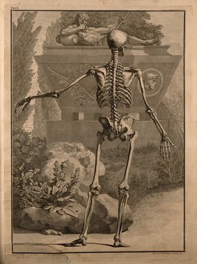 A skeleton, back view, with left arm extended. Engraving by G. Scotin after B.S. Albinus, 1747.