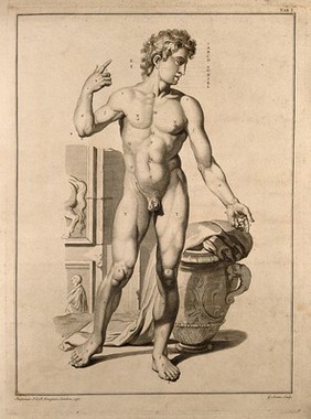 Superficial anatomy of the man. Engraving by G. Scotin after G. Bidloo, 1750.