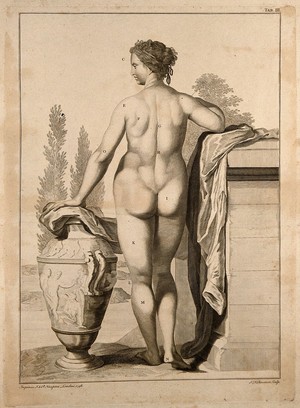 view Superficial anatomy of the woman: posterior view. Engraving by S.F. Ravenet after G. Bidloo, 1748.