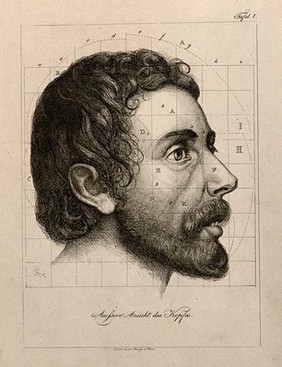 Head of a bearded man seen in profile, with proportions marked. Etching (?) by A. von Perger, ca. 1850.