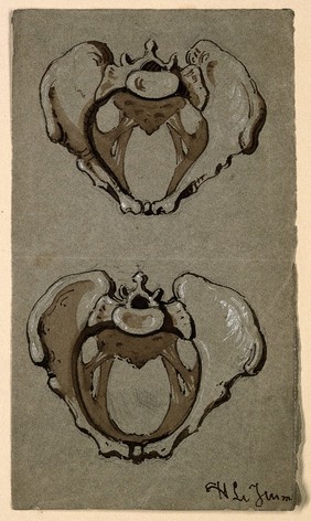 Human pelvis: two figures. Ink and watercolour, by H. Le Jeune, 18--.