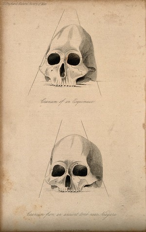 view Human skulls: two figures showing a skull of an Inuit person and a skull from a tomb near Niagara. Stipple engraving, 1843.