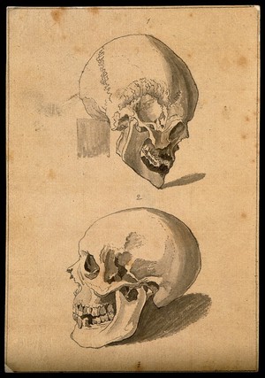 view Human skulls: two figures. Pencil and ink wash, 1780/1830?.