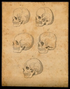 Human skulls: five figures. Pencil and ink wash, 1780/1830?.