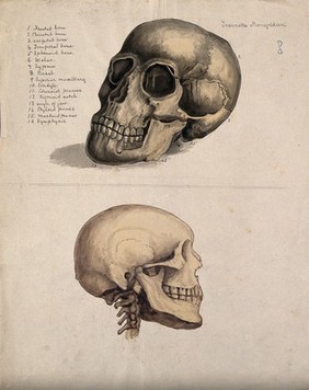 A skull: two figures. Watercolour by J. Mongrédien, ca. 1880.