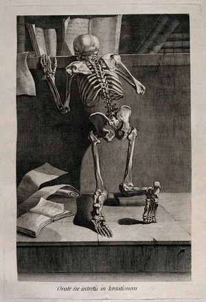 view A kneeling skeleton, seen from behind, reading a book on a shelf. Etching by or after J. Gamelin, 1778/1779.