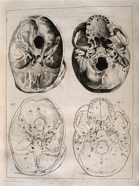 The base of the human skull, seen from above (in section) and below, with outline diagrams included beneath. Etching by Martin after J. Gamelin, 1778/1779.