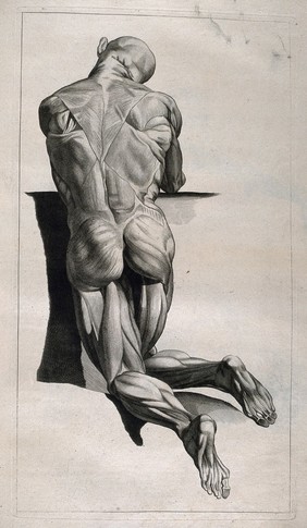 A kneeling écorché figure, seen from behind. Etching by or after J. Gamelin, 1778/1779.