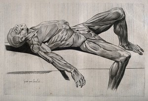 view An écorché figure, lying supine on a slab, with its right leg flexed over the side. Stipple print by Lavalée after J. Gamelin, 1778/1779.