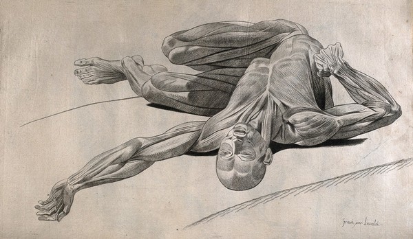 An écorché figure, lying supine on a slab, with left arm extended and flexed lower limbs: foreshortened view. Stipple print by Lavalée after J. Gamelin, 1778/9.