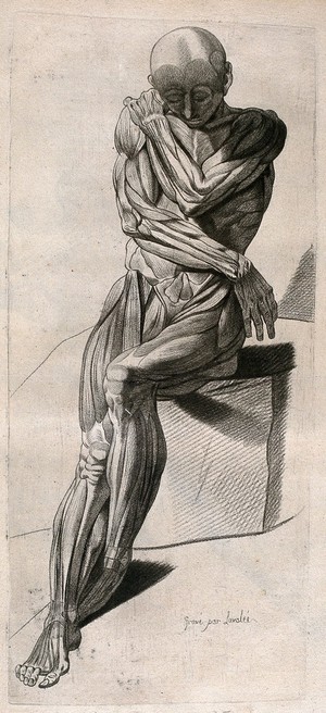 view A seated écorché figure, shown with crossed arms and feet. Crayon manner print by Lavalée, after J. Gamelin, 1778/1779.