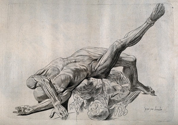 Two écorché figures, one lying on top of the another. Crayon manner print by Lavalée after J. Gamelin, 1778/1779.